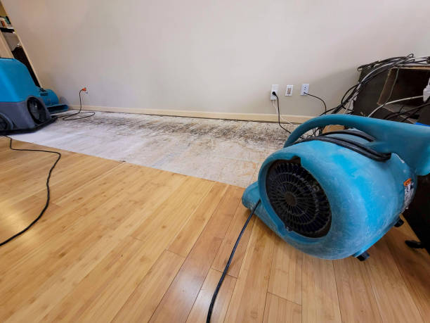 Professional Sewage Cleanup technician working in Geneva, IN